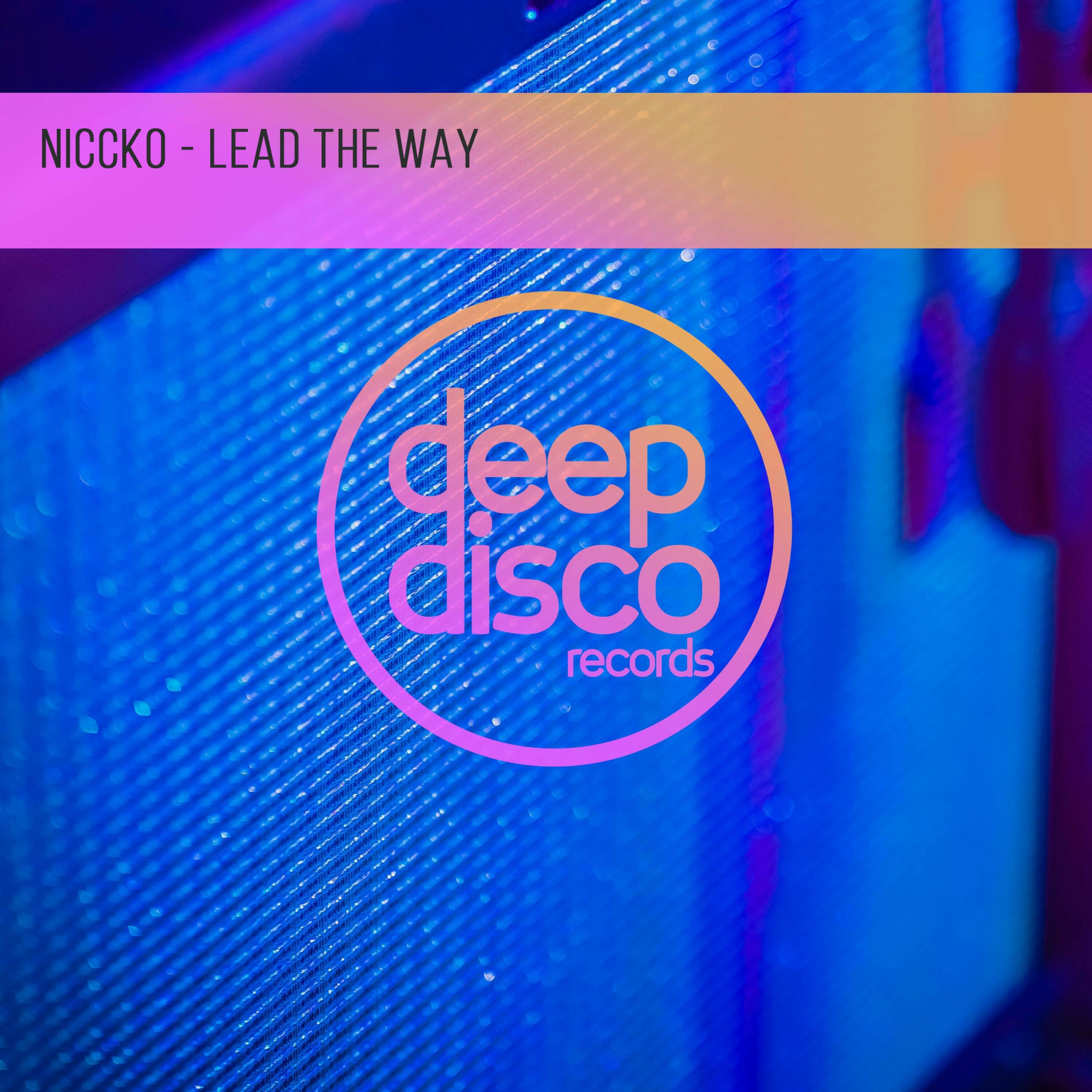 Album cover of Lead The Way