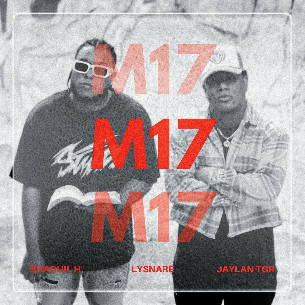 Picture of M17