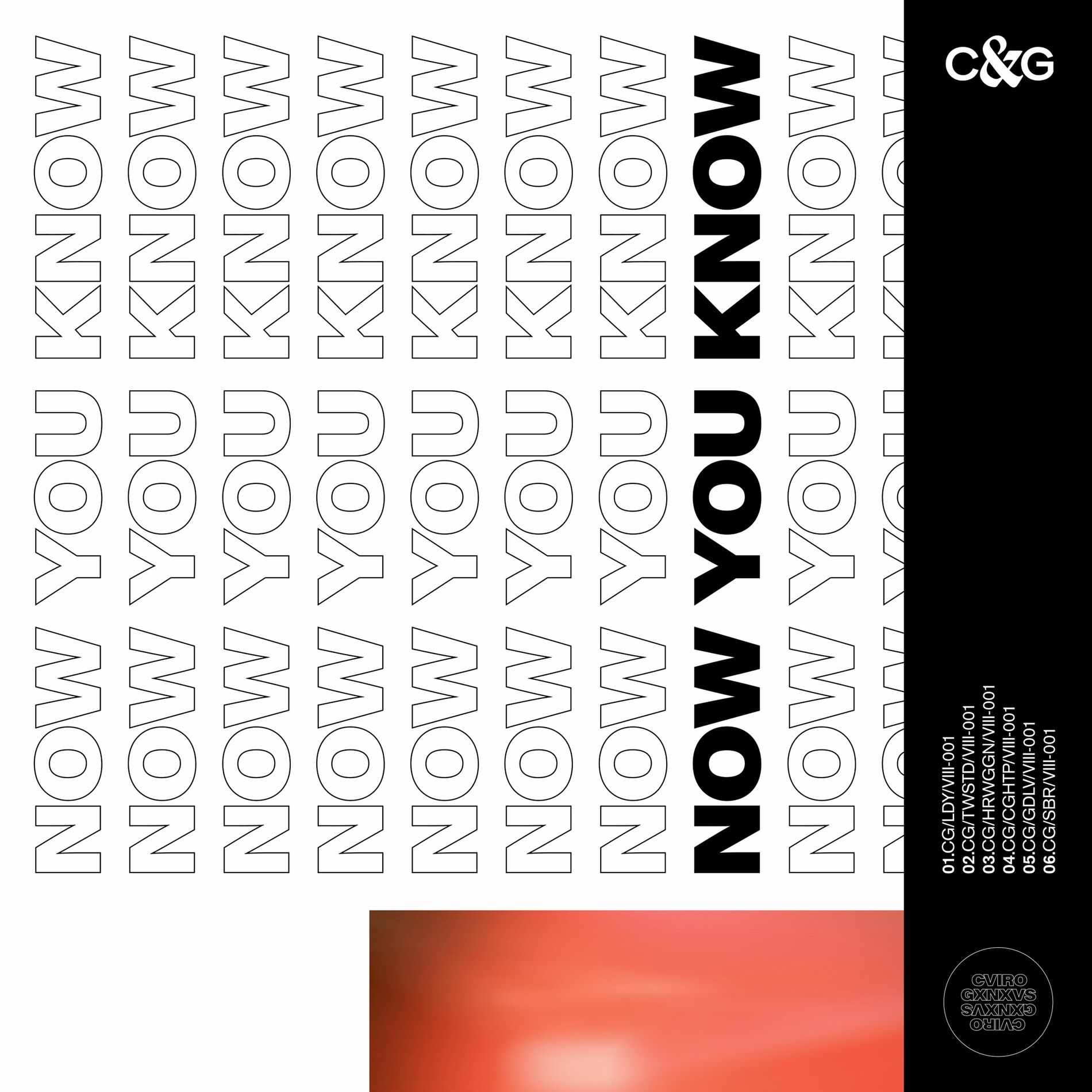 Album cover of Now You Know
