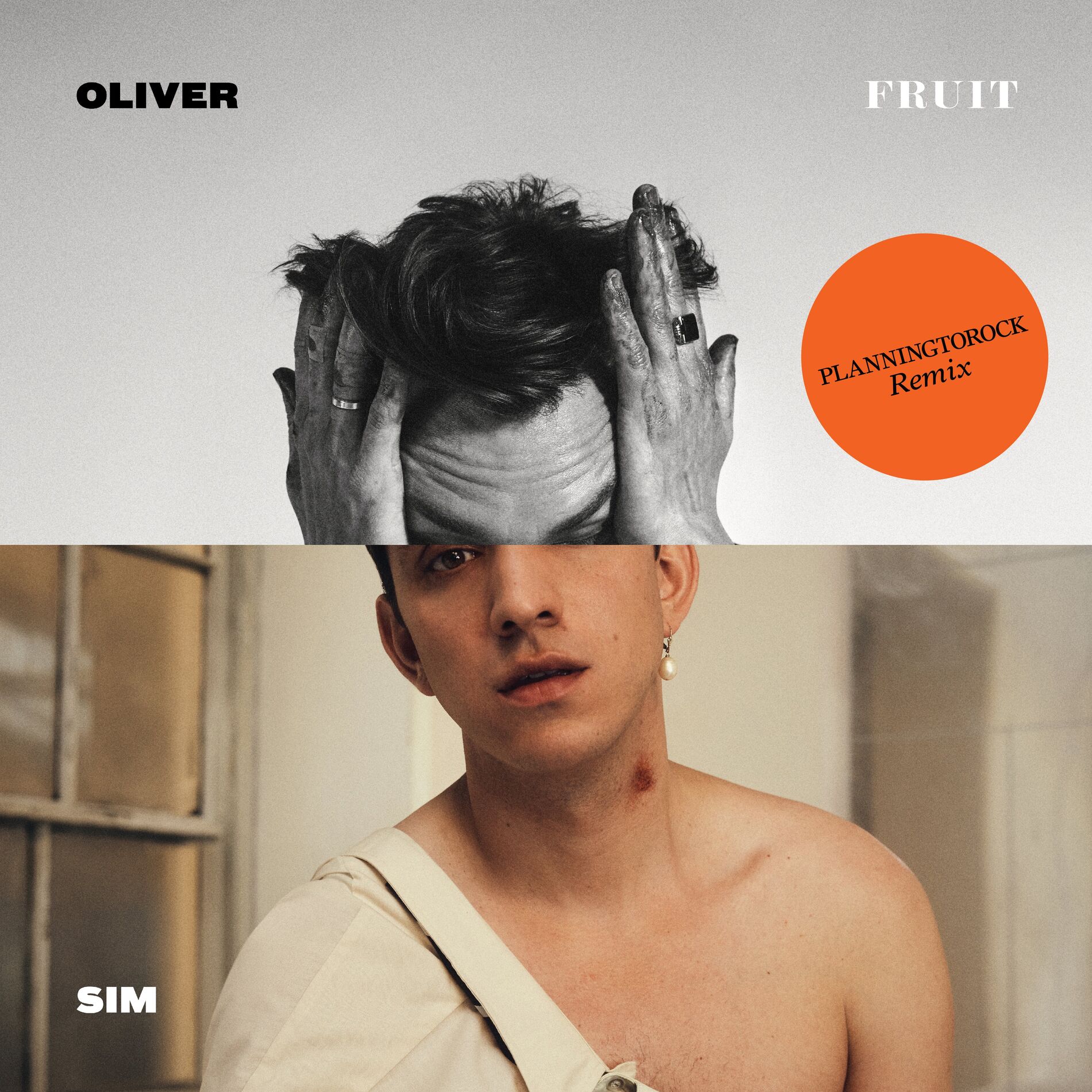 Album cover of Fruit (Planningtorock's 'Planningtofruit' Version)