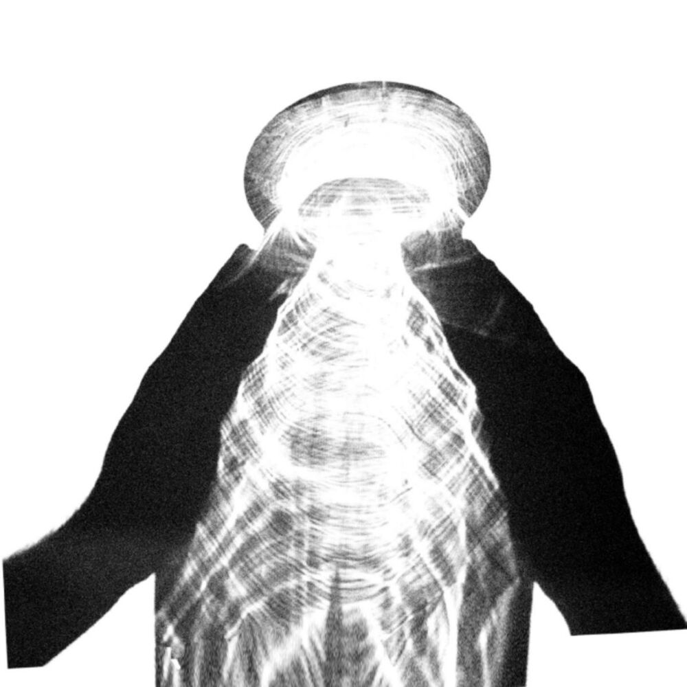 Picture of WOLFEP014