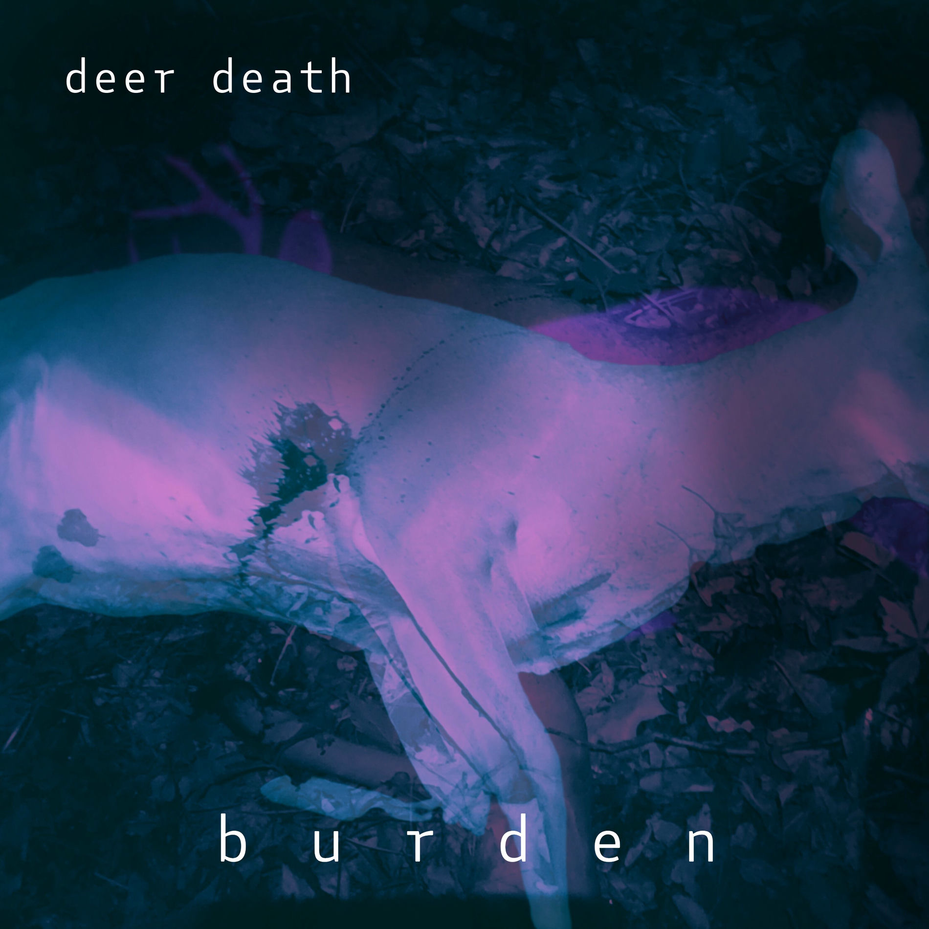 Album cover of fault