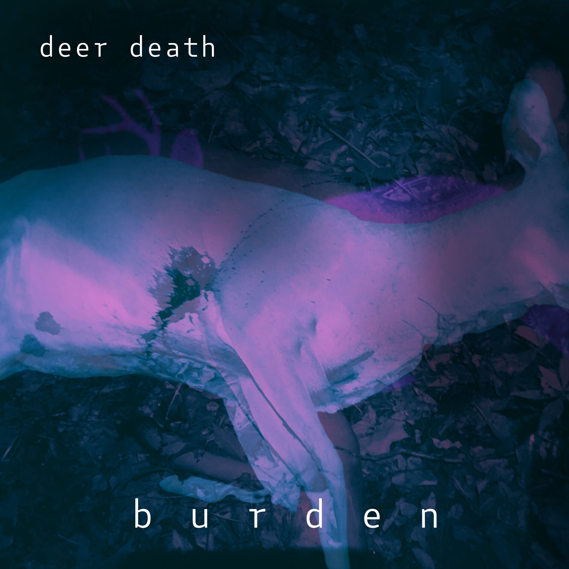 Album cover of burden