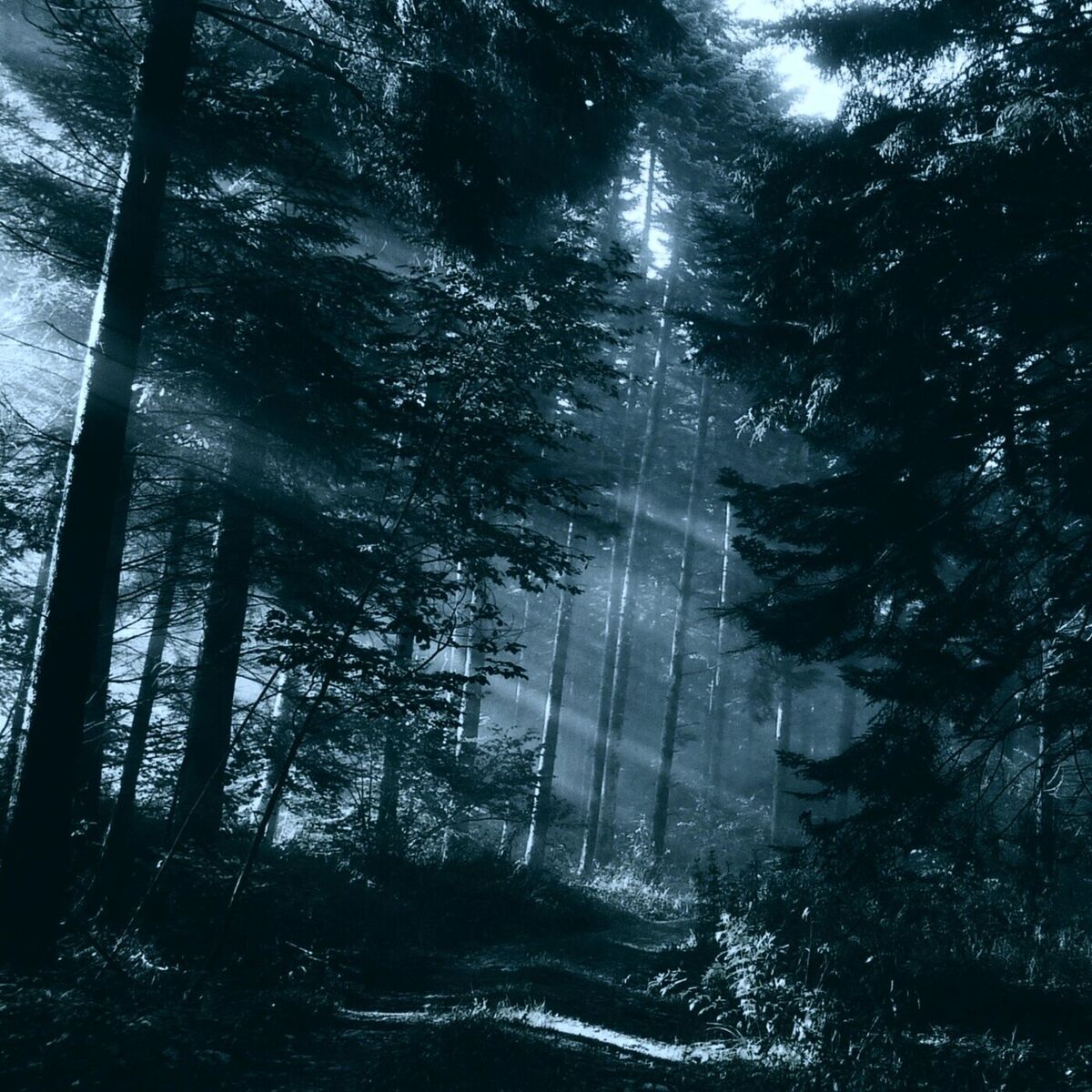 Album cover of Maloletka