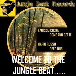 Cover of Welcome to the Jungle Beat