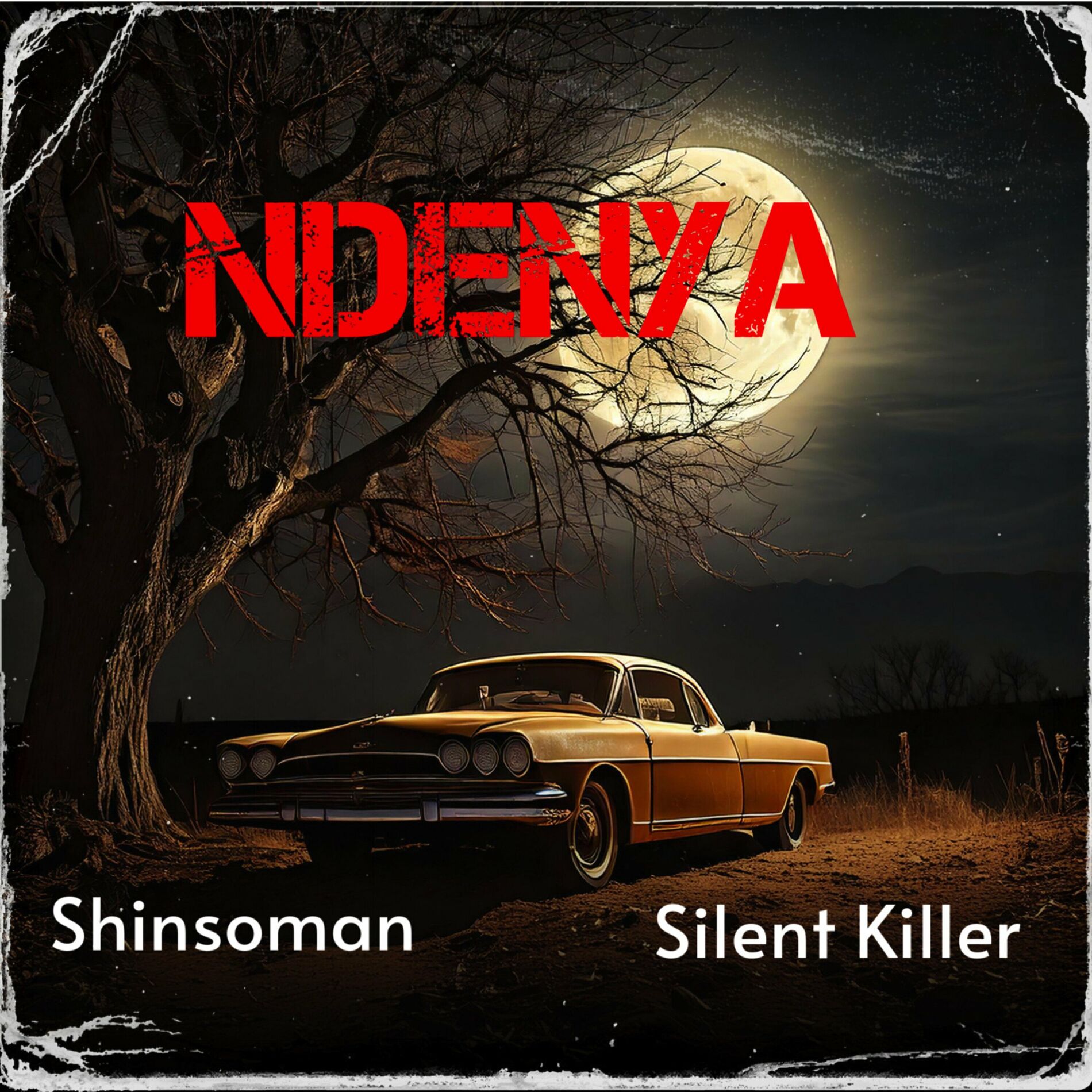 Album cover of Ndenya