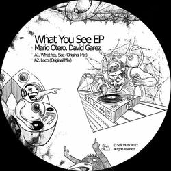 Cover of What You See EP