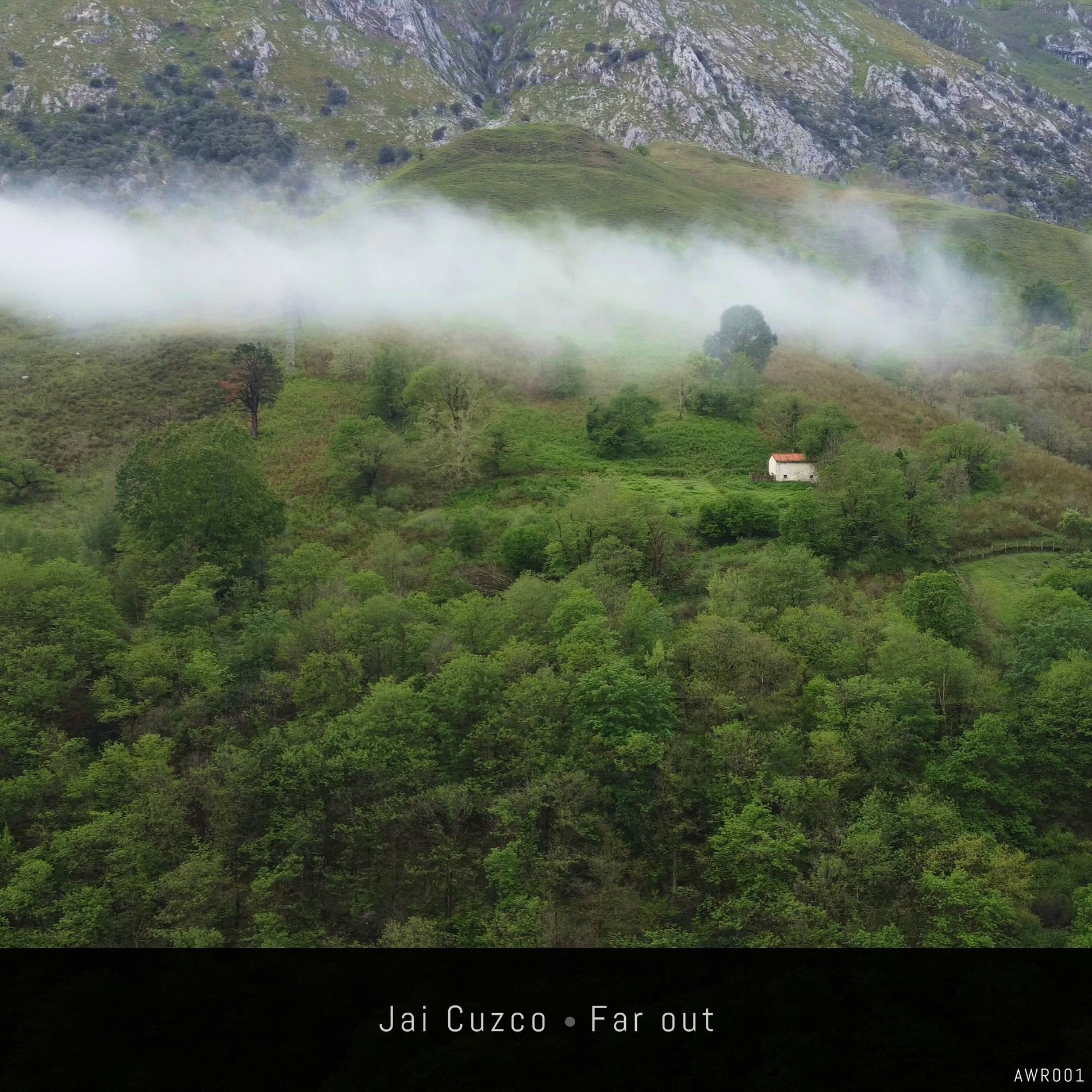 Album cover of Far Out