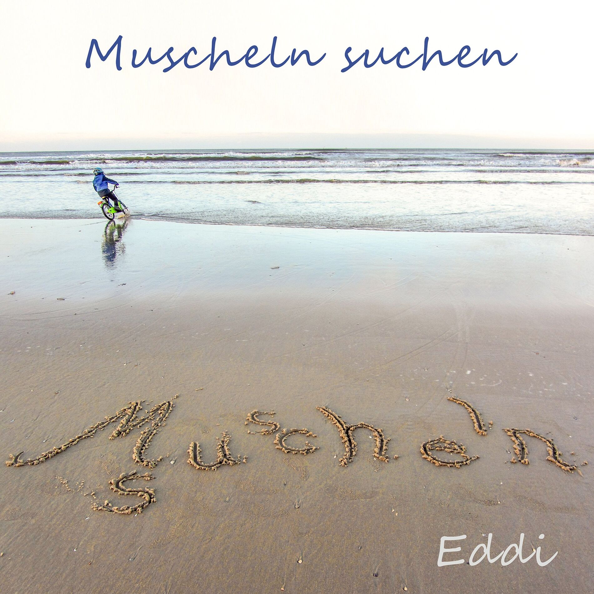 Album cover of Muscheln suchen