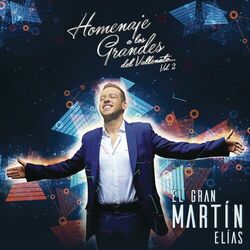 Cover of Homenaje a Los Grandes Vol. 2