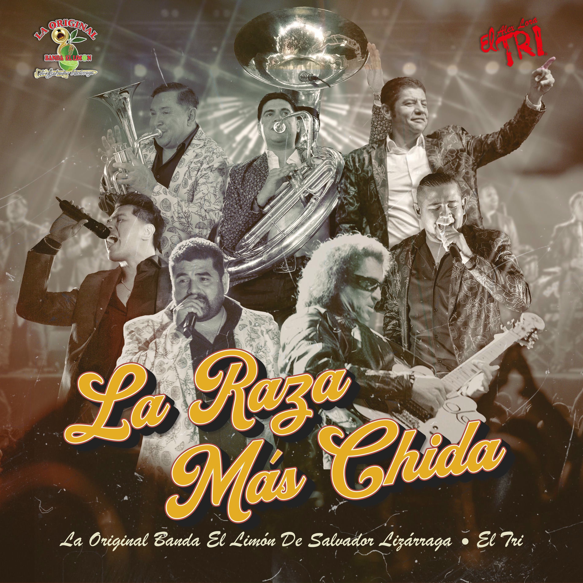 Album cover of La Raza Más Chida