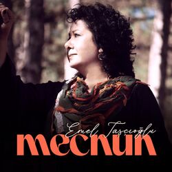 Cover of Mecnun