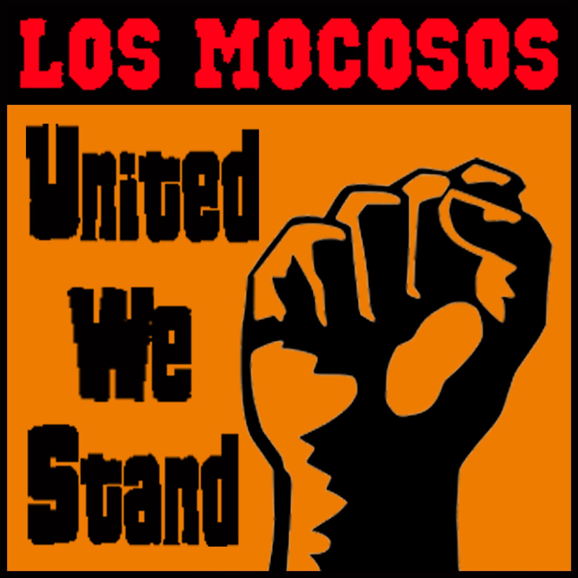 Album cover of United We Stand