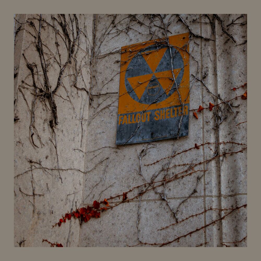Picture of Fallout Shelter