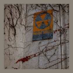Cover of Fallout Shelter