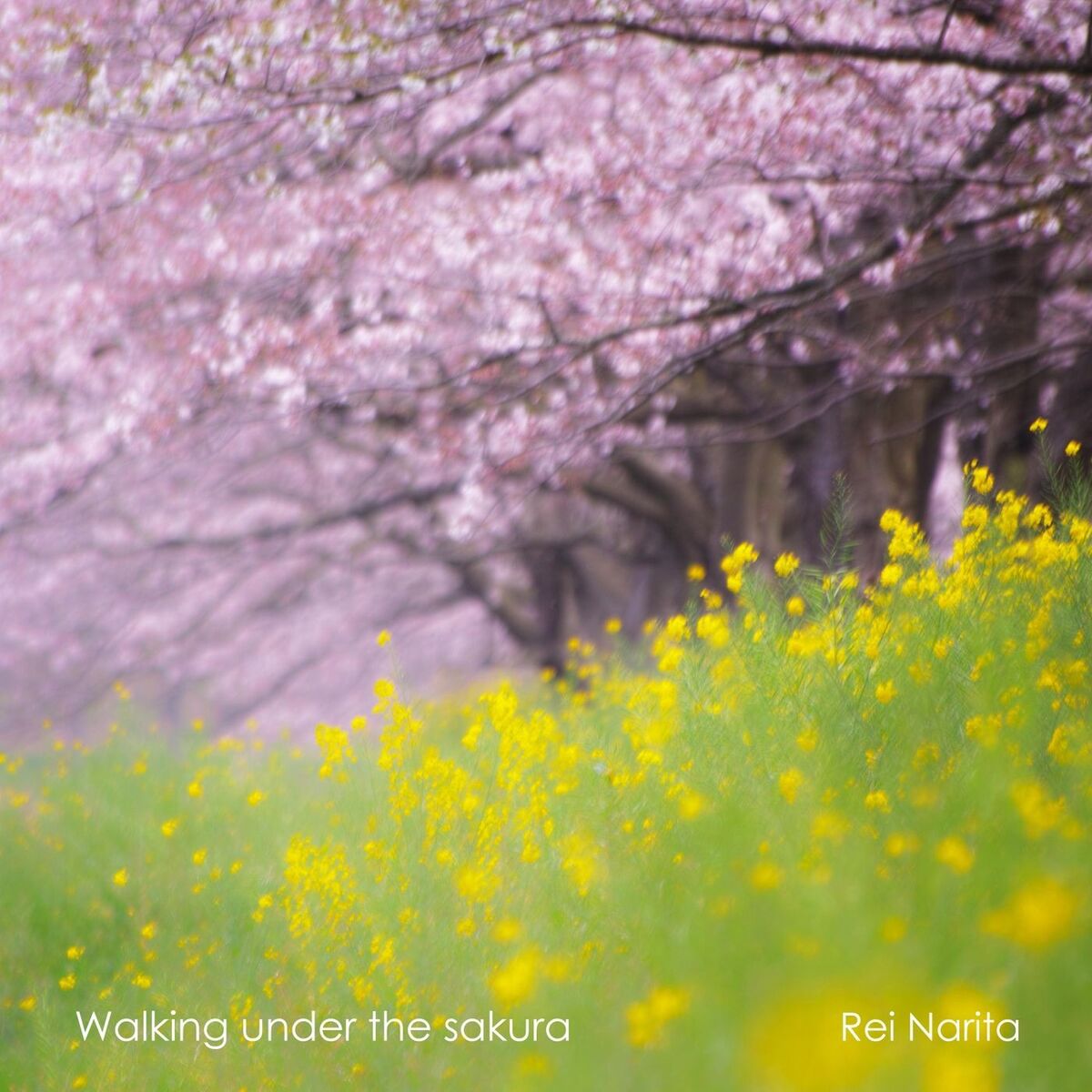 Album cover of Walking under the sakura