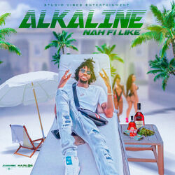 Cover of Nah Fi Like