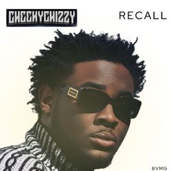 Cover of Recall
