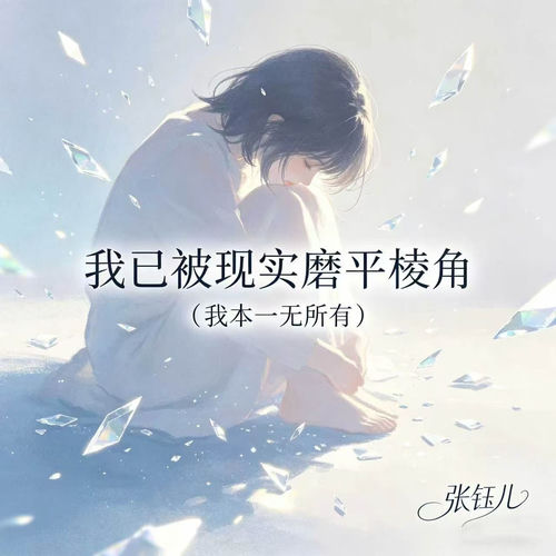 我已被现实磨平棱角(我本一无所有)
