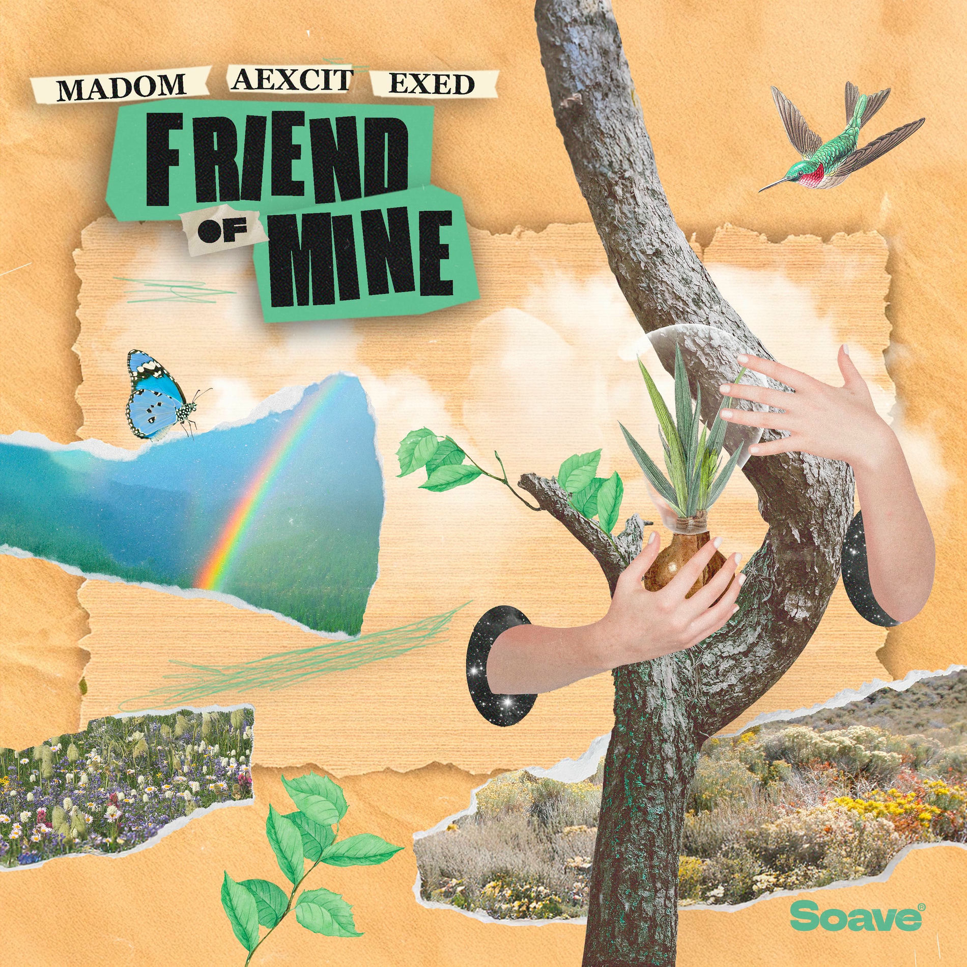 Album cover of Friend Of Mine