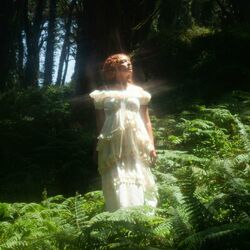 Cover of Hideaway