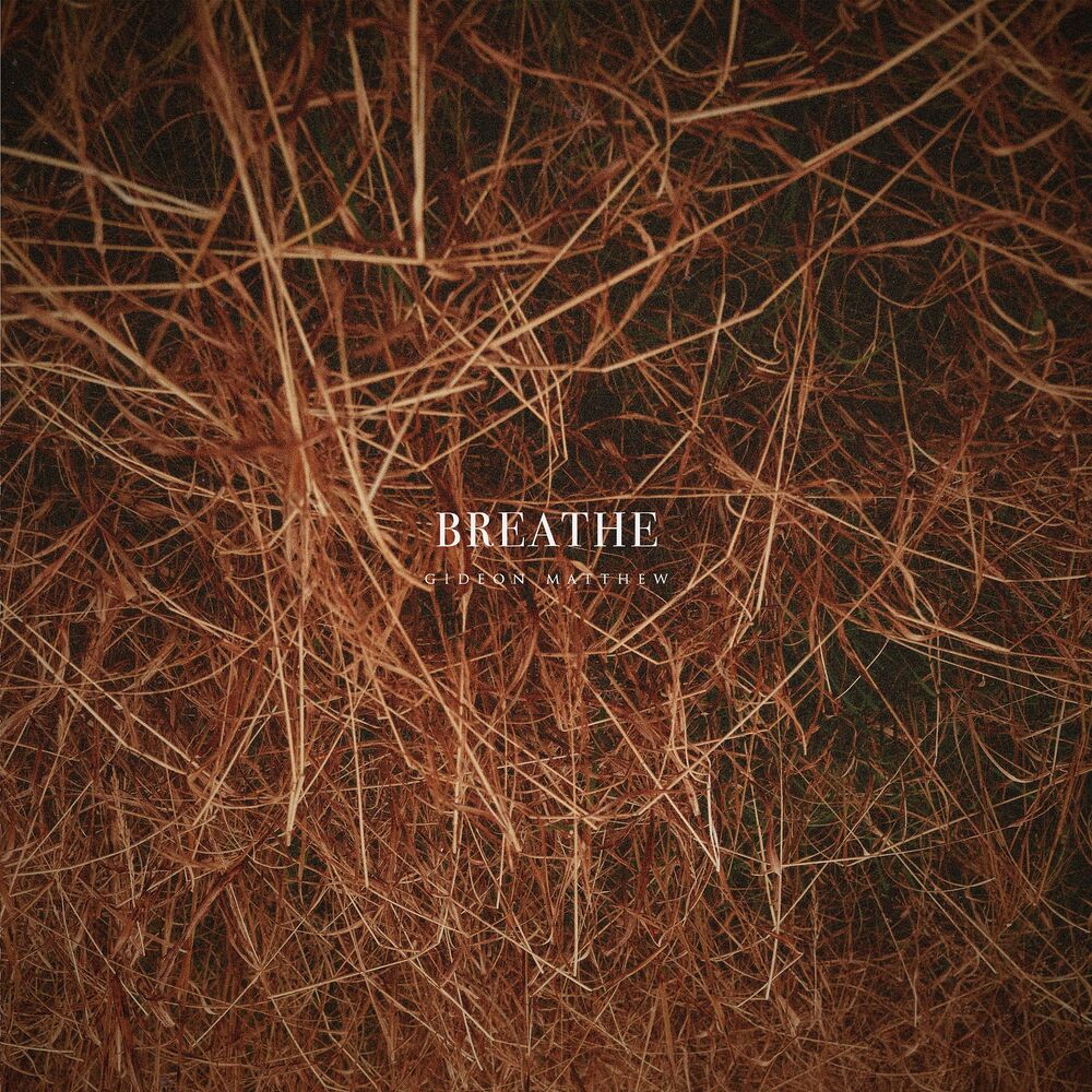 Picture of Breathe