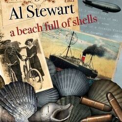 A Beach Full of Shells