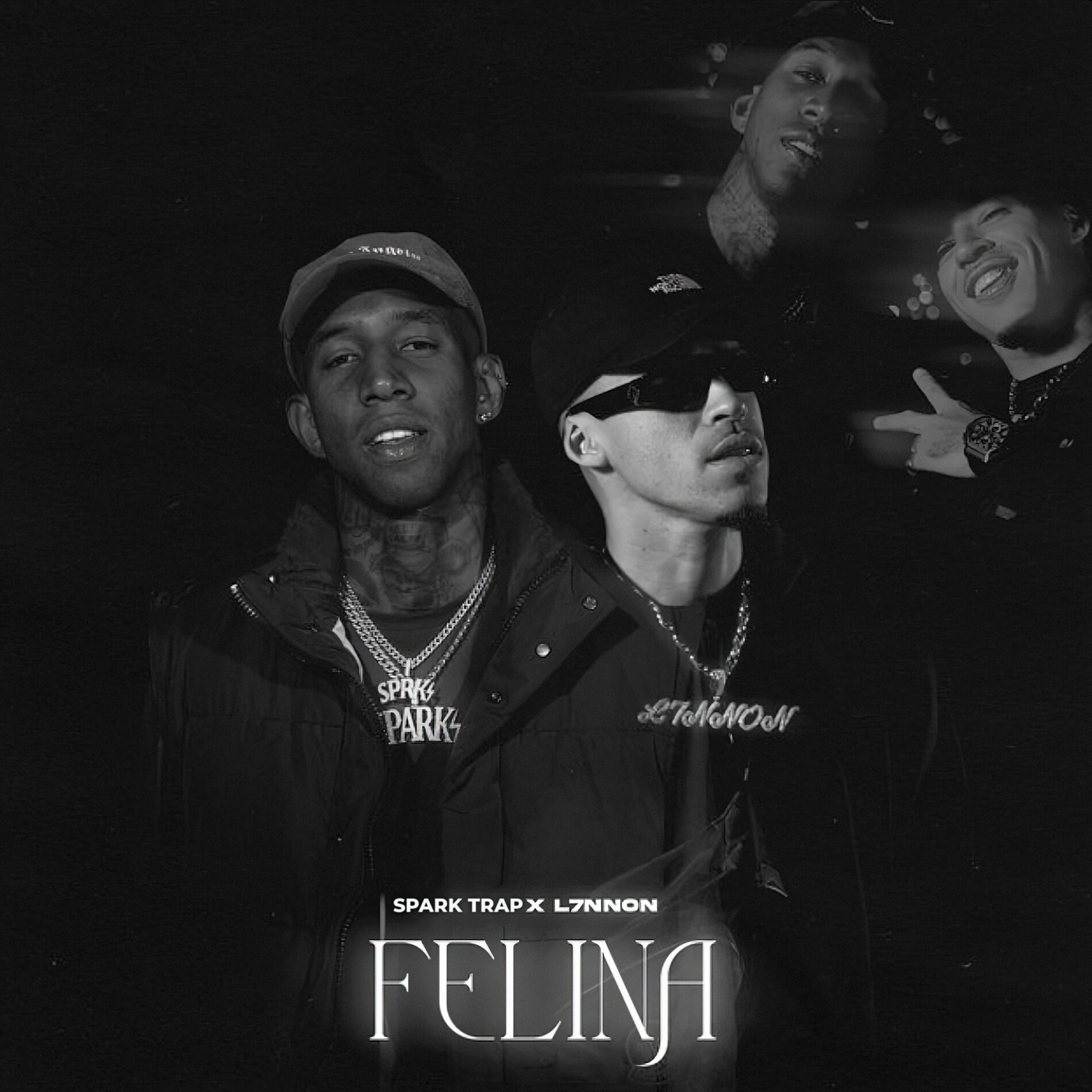 Album cover of Felina