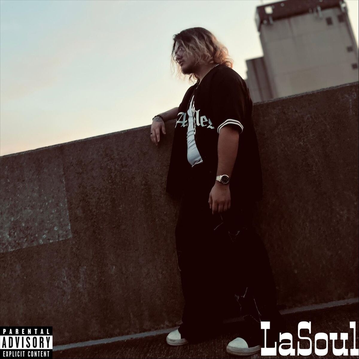Album cover of LaSoul