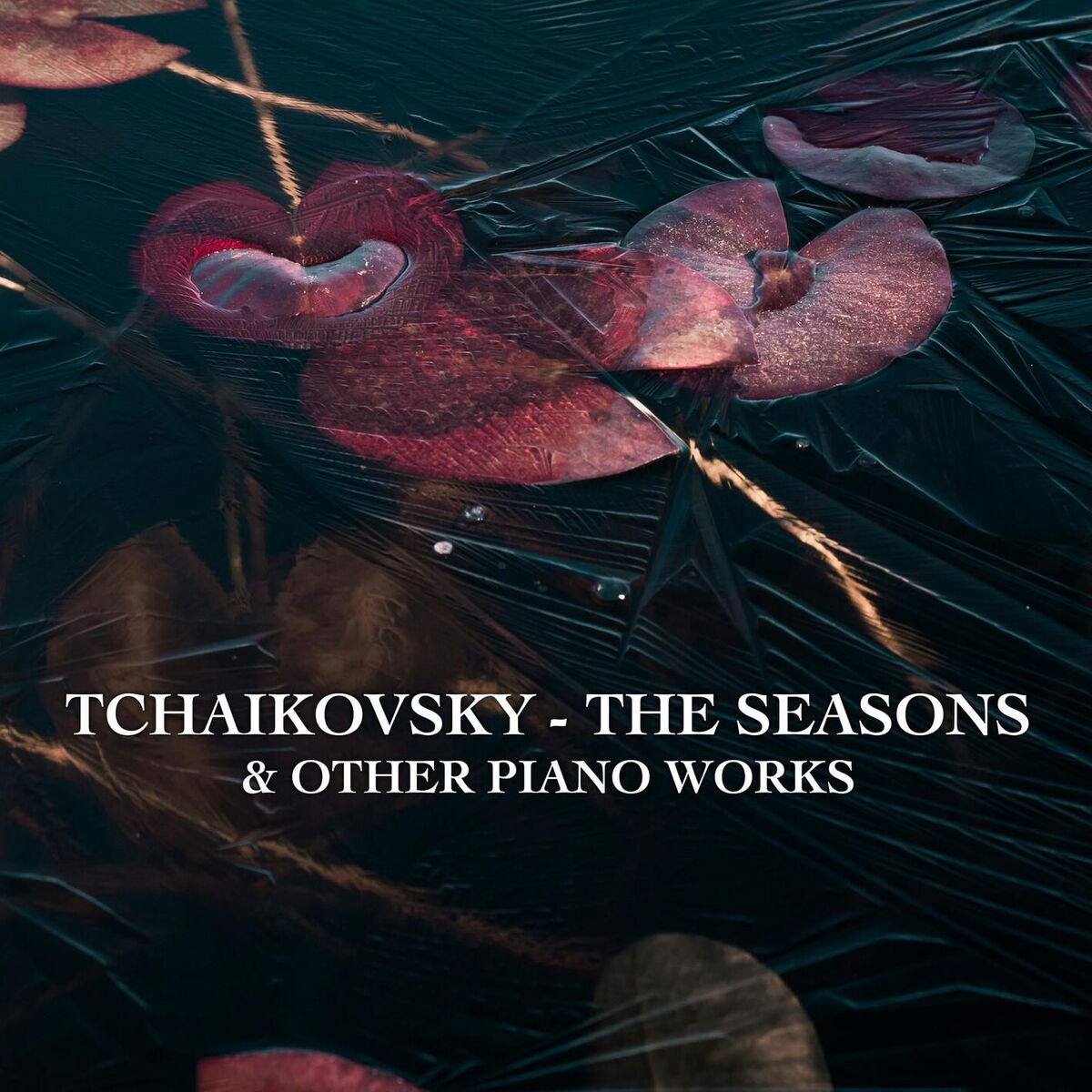 Album cover of 