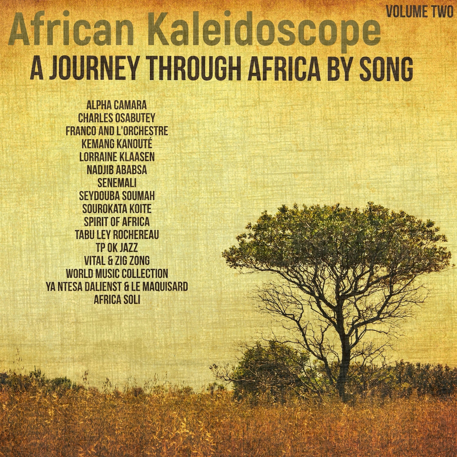 Album cover of African Kaleidoscope: A Journey through Africa by Song, Volume 2