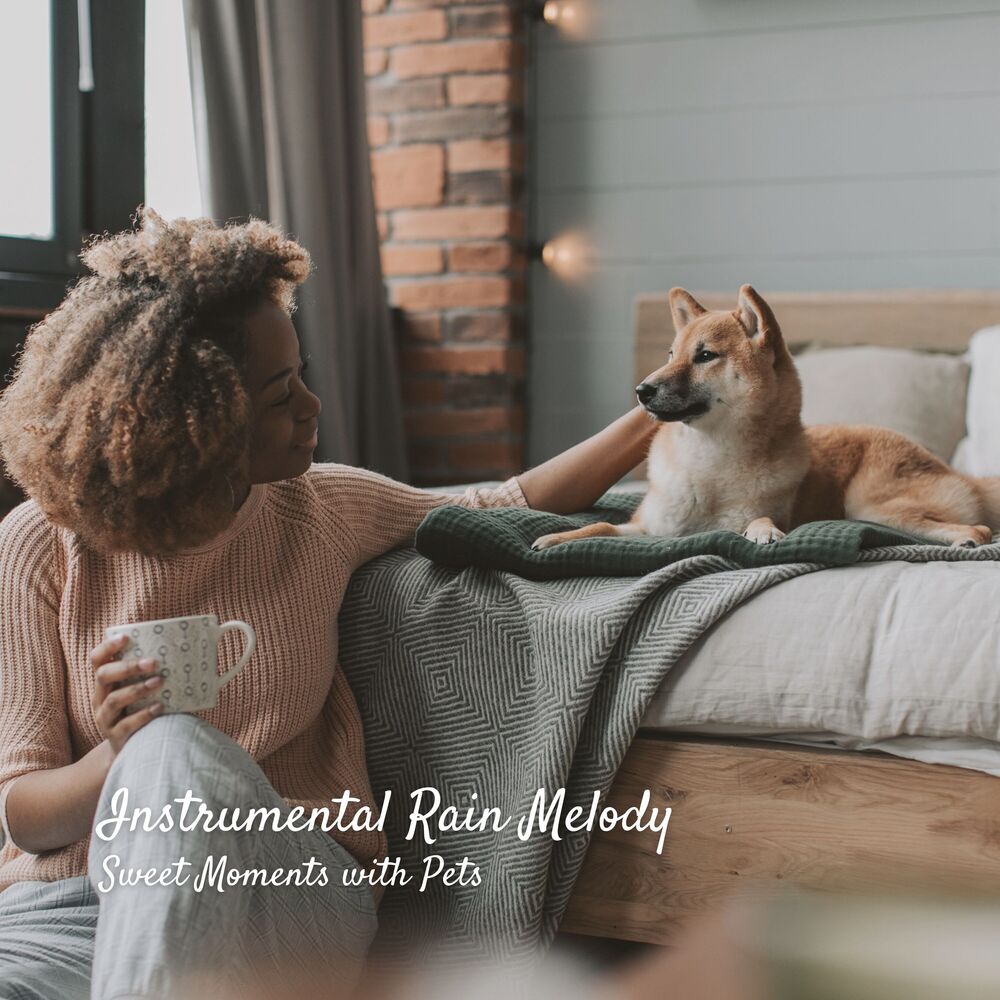 Picture of Instrumental Rain Melody: Sweet Moments with Pets
