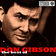 I Love You Because by Don Gibson album cover