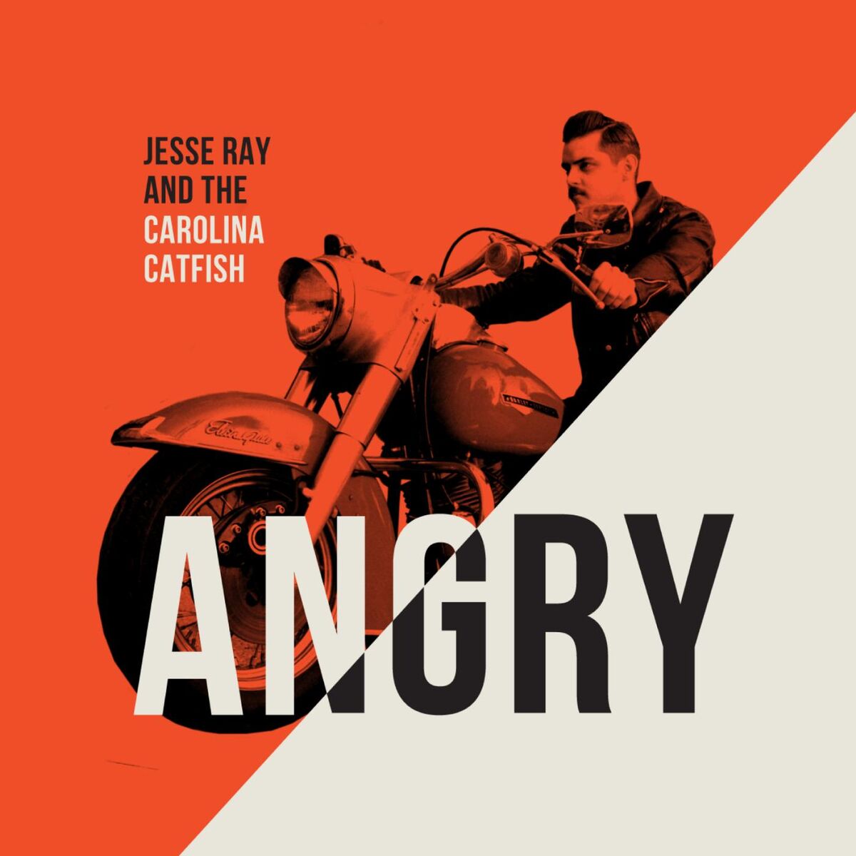Album cover of Angry