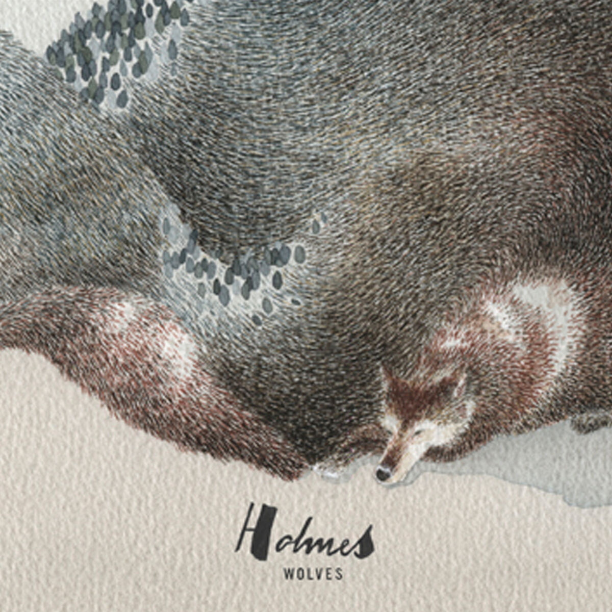 Album cover of Wolves