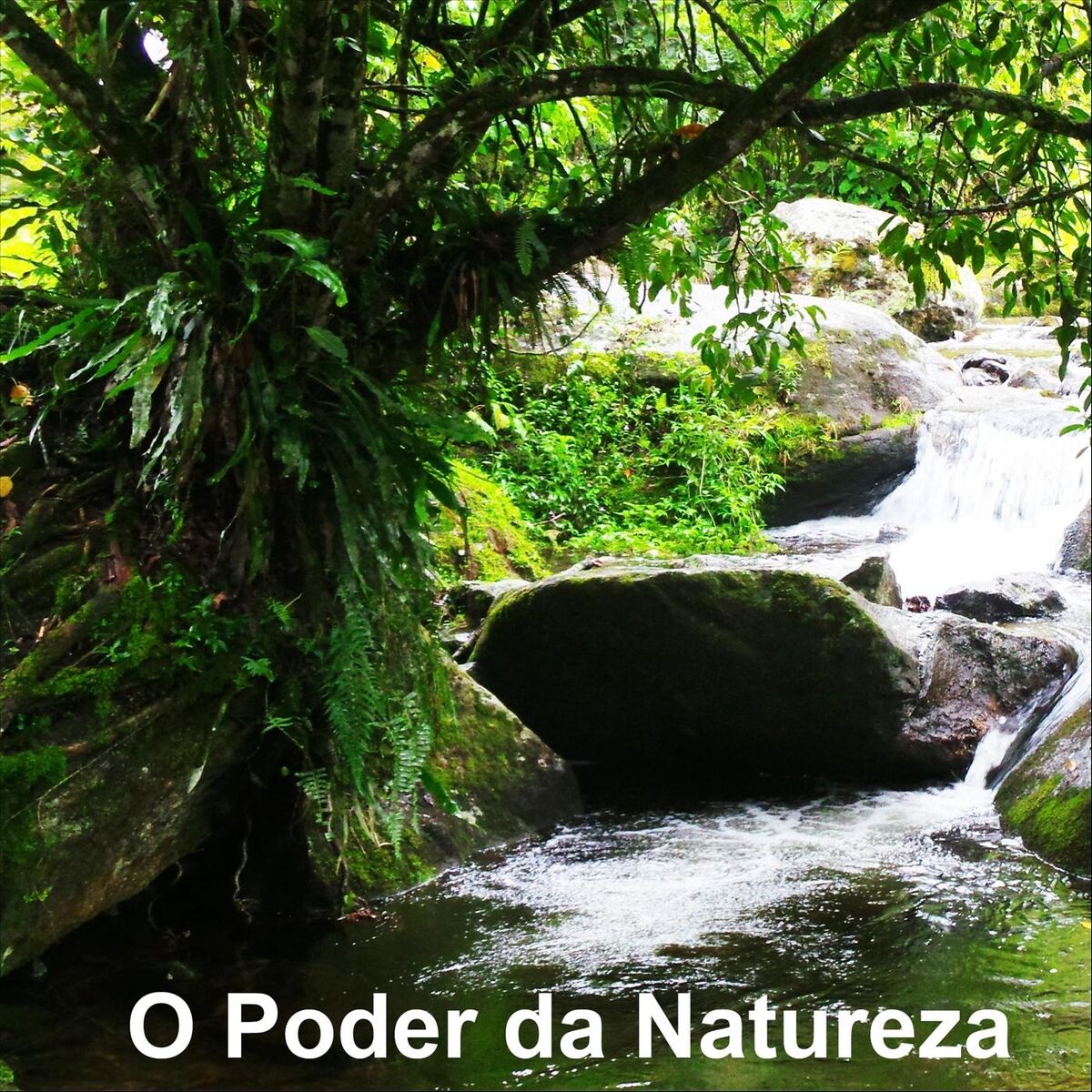Album cover of O Poder da Natureza