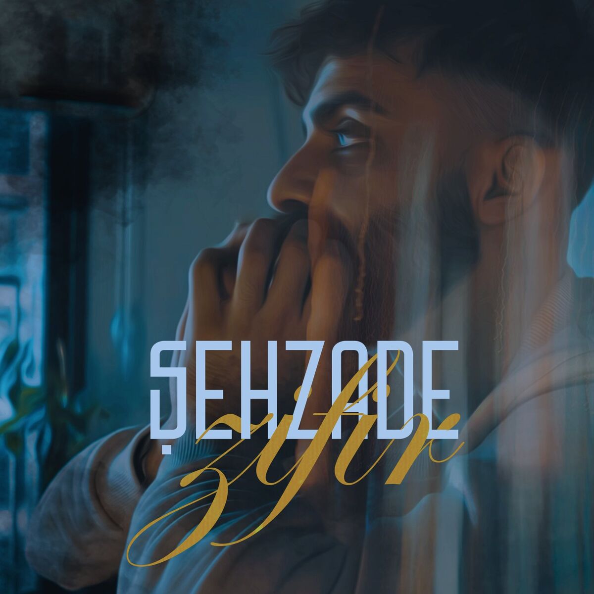 Album cover of Zifir
