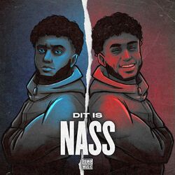 Cover of Dit Is Nass