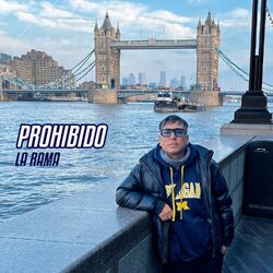Cover of Prohibido