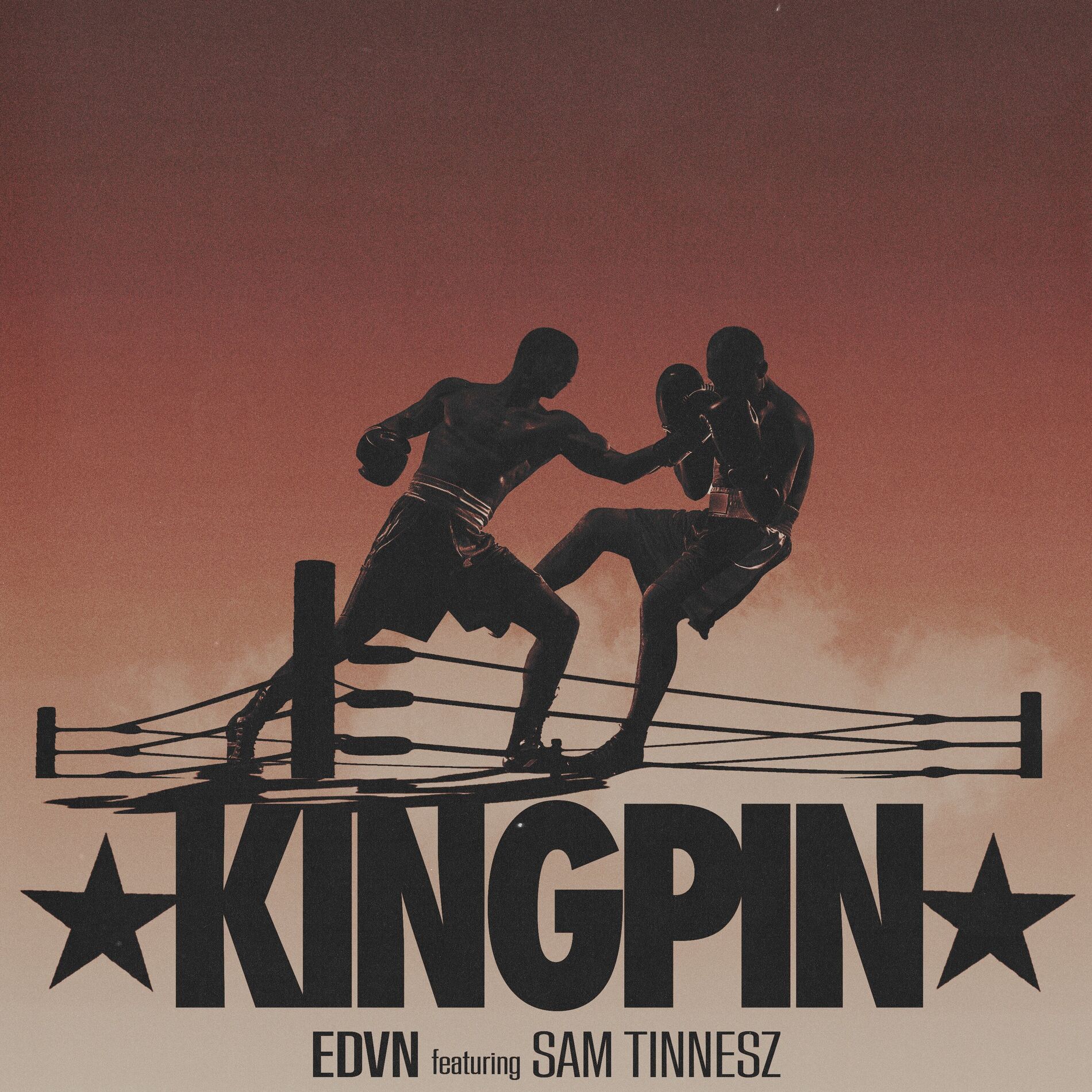Album cover of Kingpin
