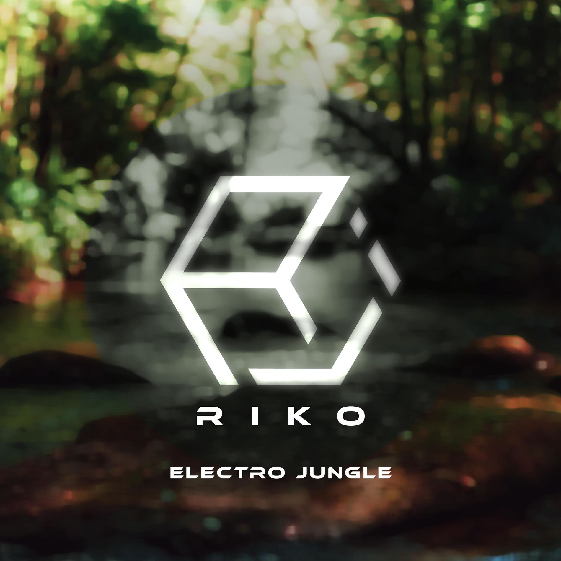 Album cover of Electro Jungle