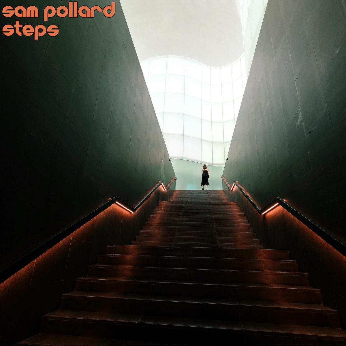 Album cover of Steps