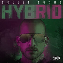 Cover of Hybrid