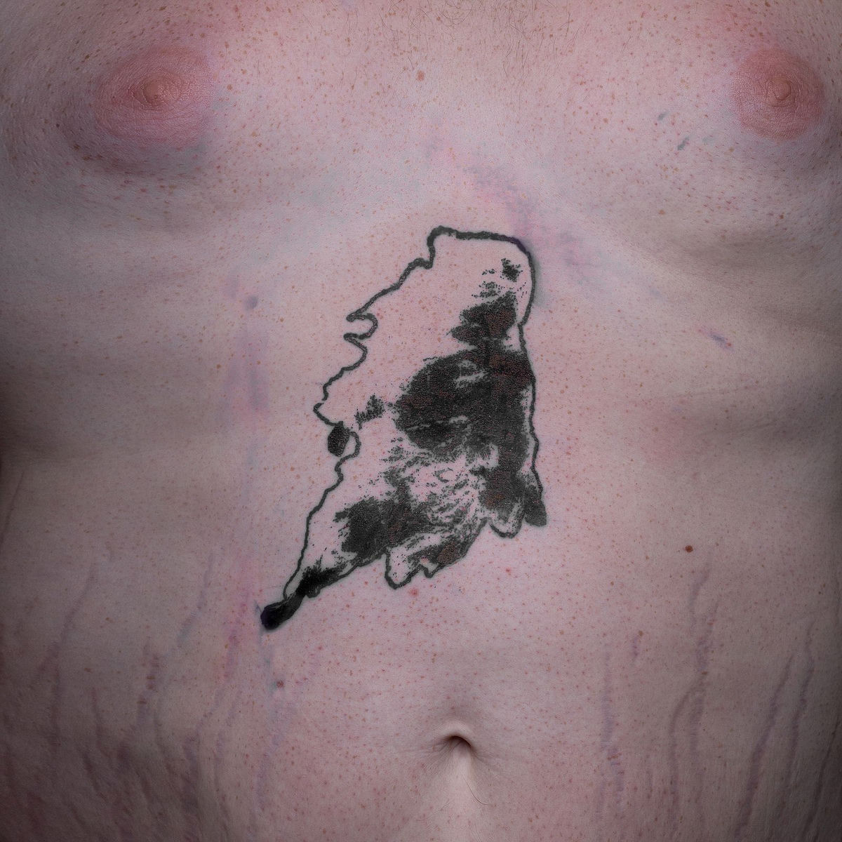 Album cover of Wearing a Wire (Remixed)