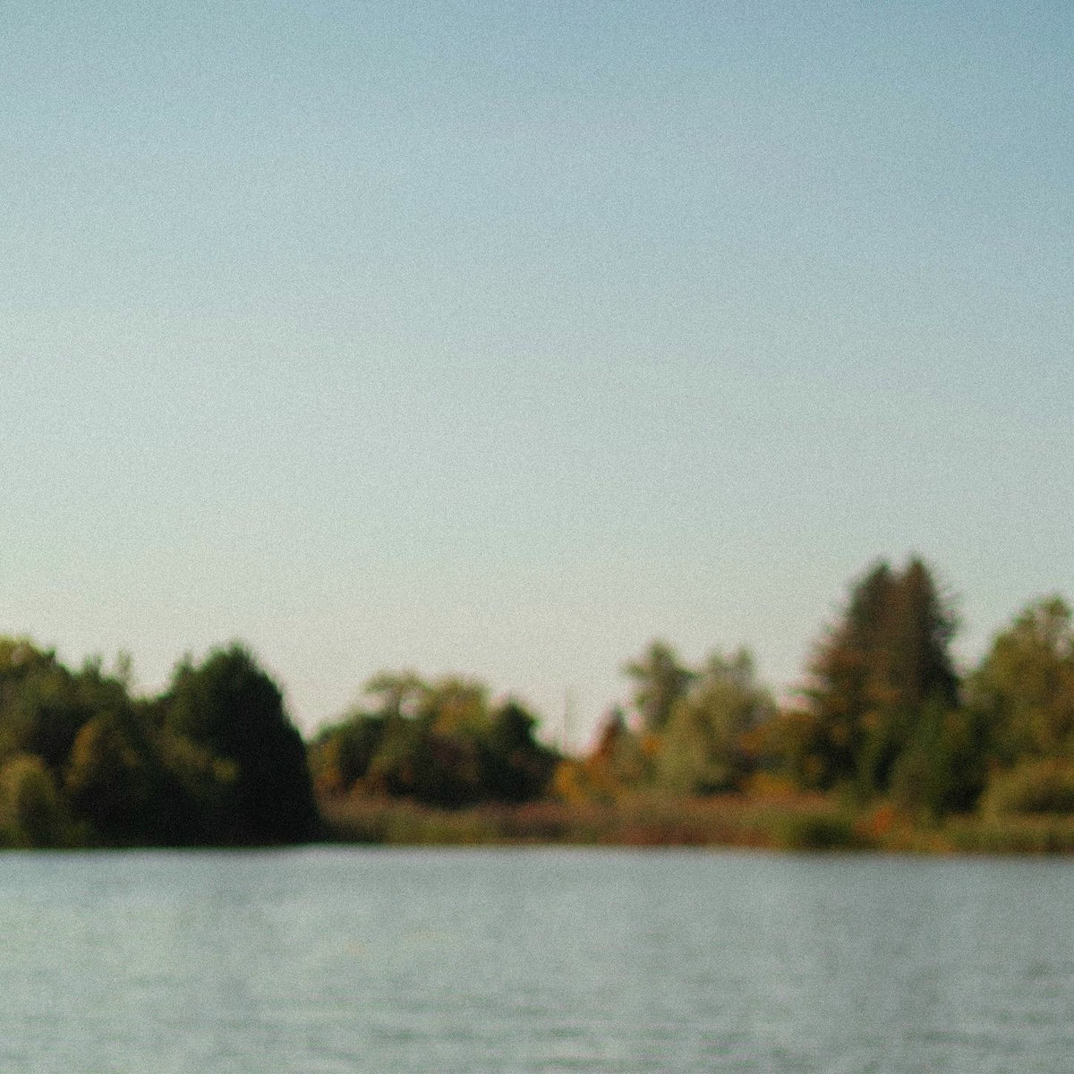Album cover of wild blue