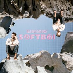 Cover of Softboi