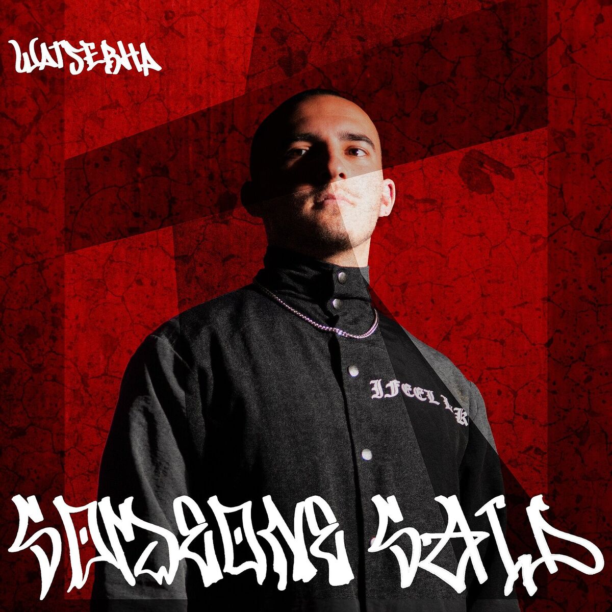 Album cover of Someone Said