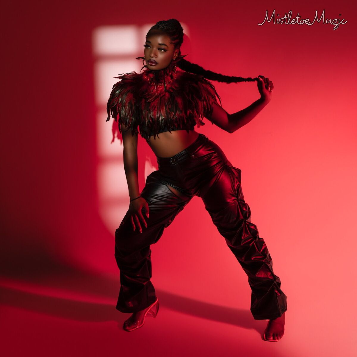Album cover of Mistletoe Muzic