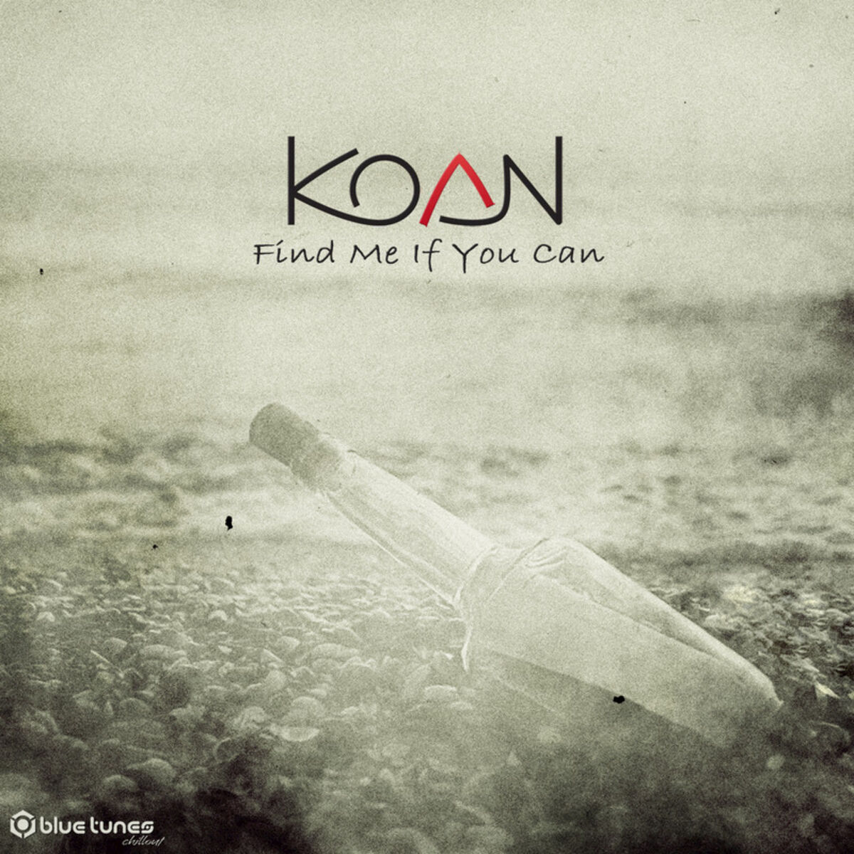 Album cover of Find Me If You Can