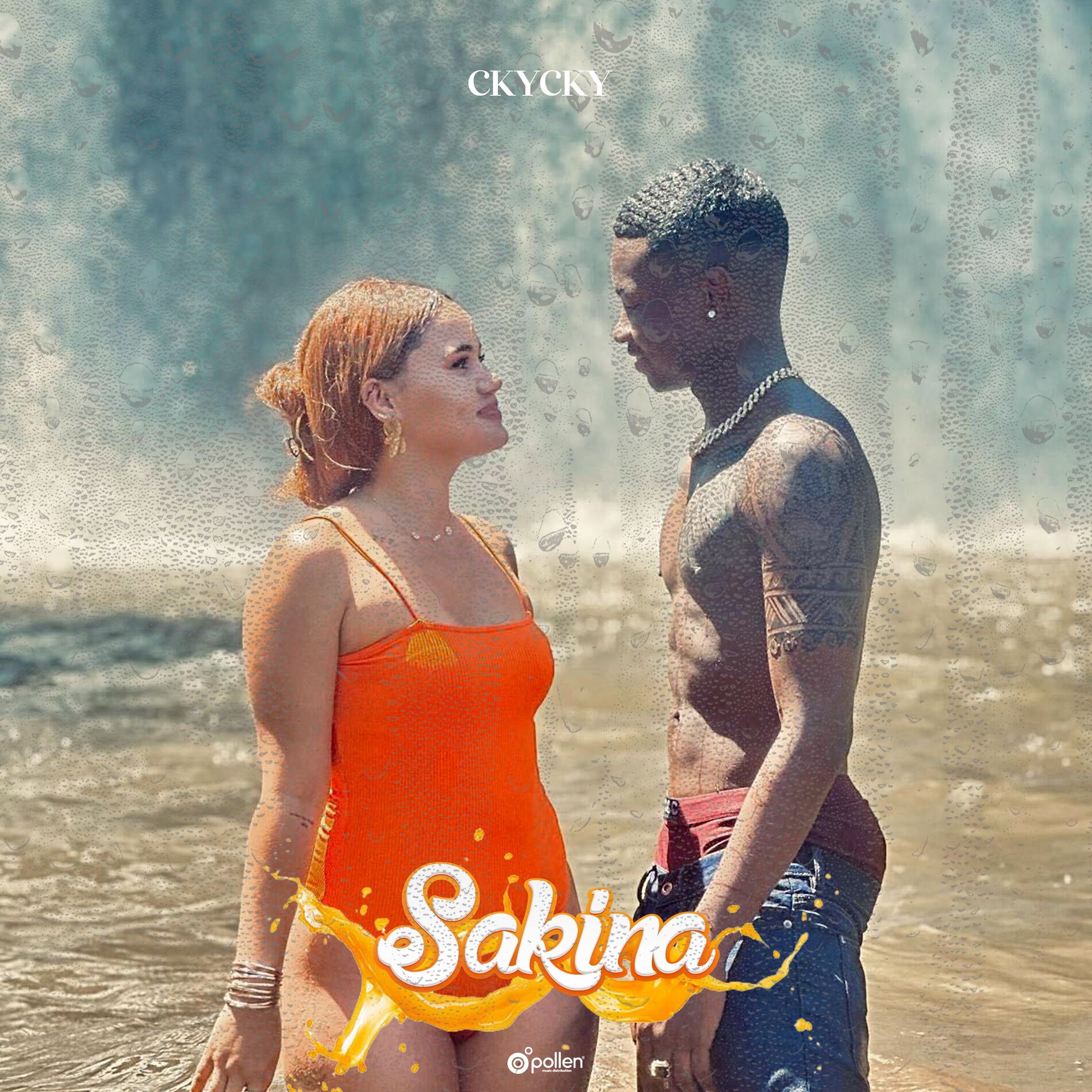 Album cover of Sakina